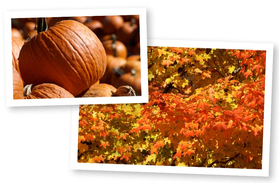 fall opening image